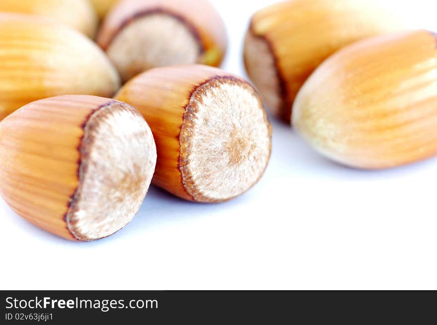 Hazel Nuts On White