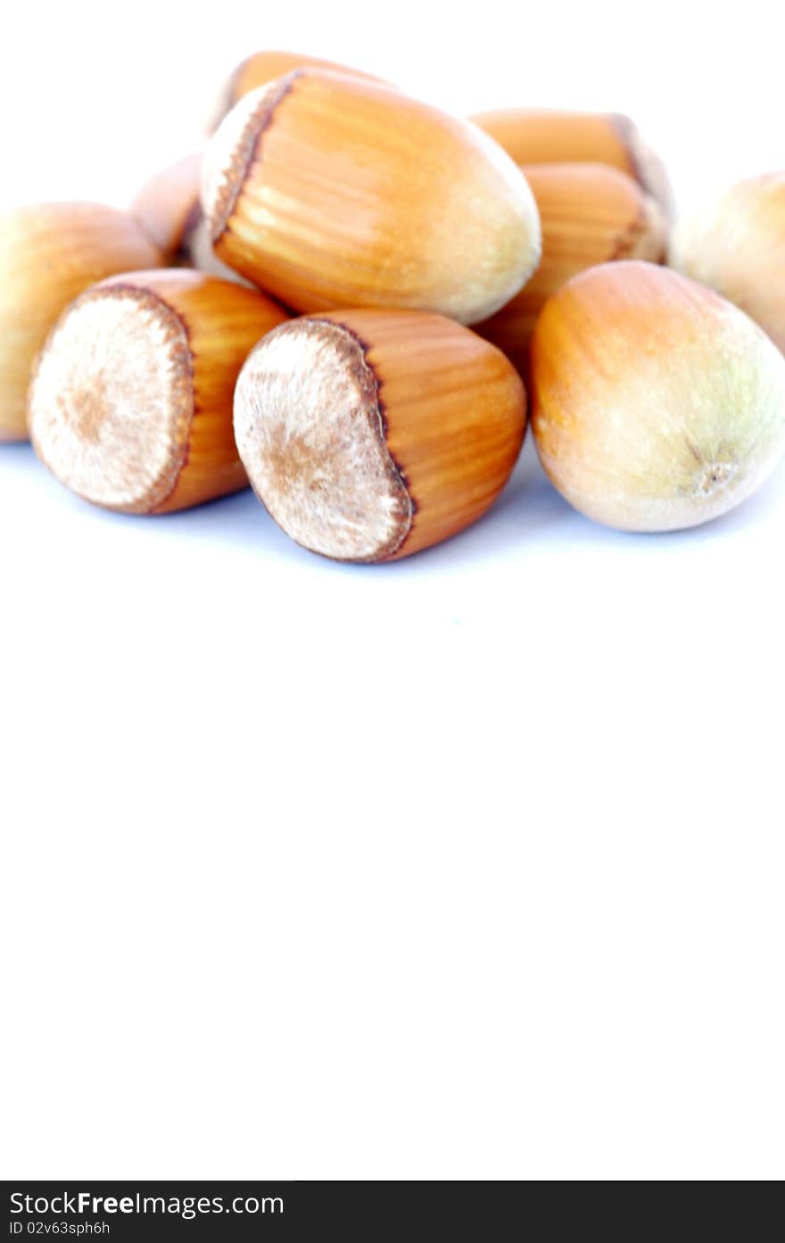 Hazel Nuts On White