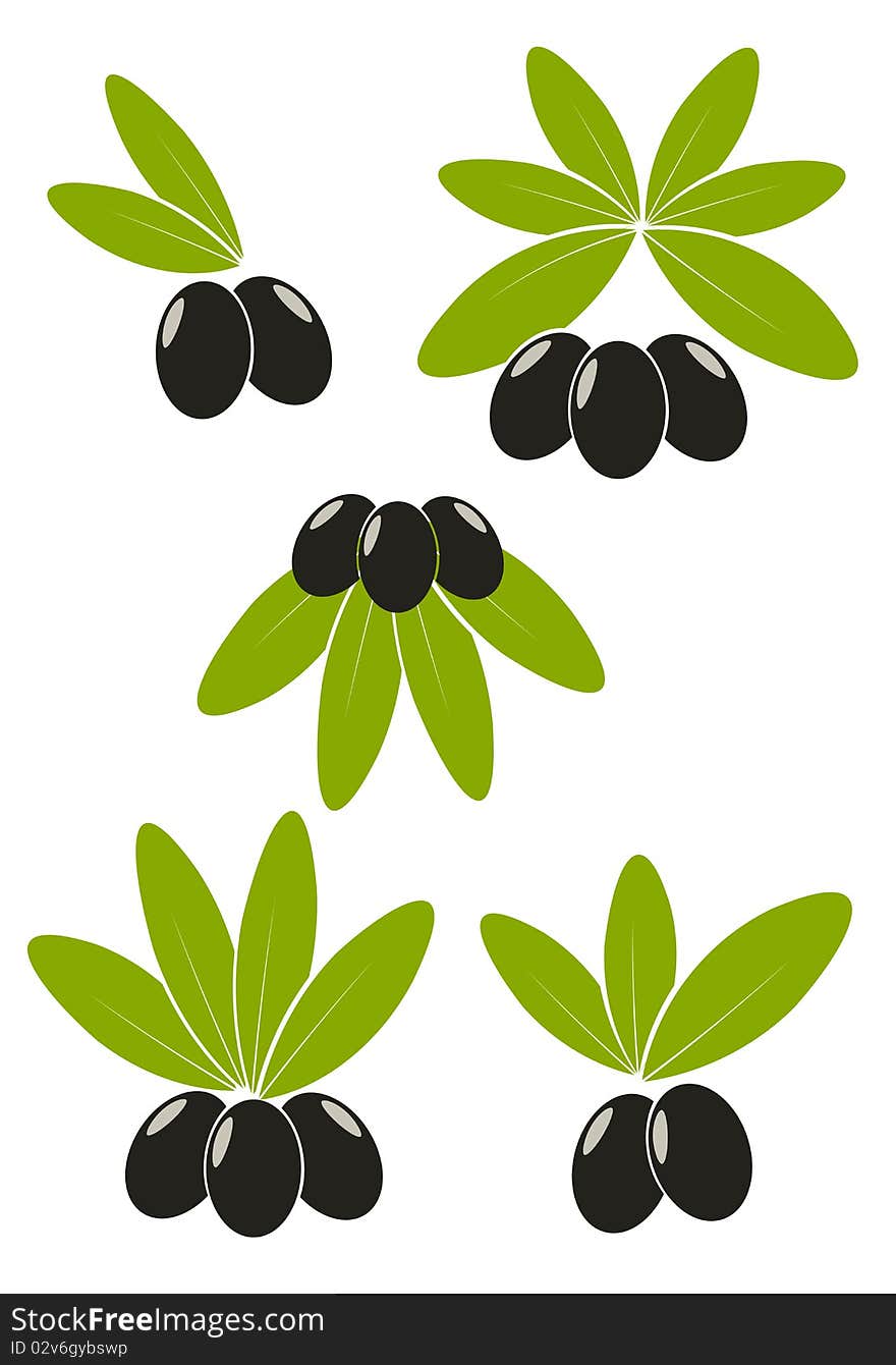 Olives With Leaves