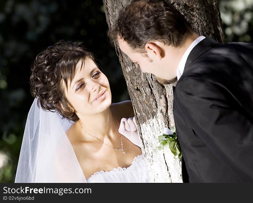 Bride And Groom