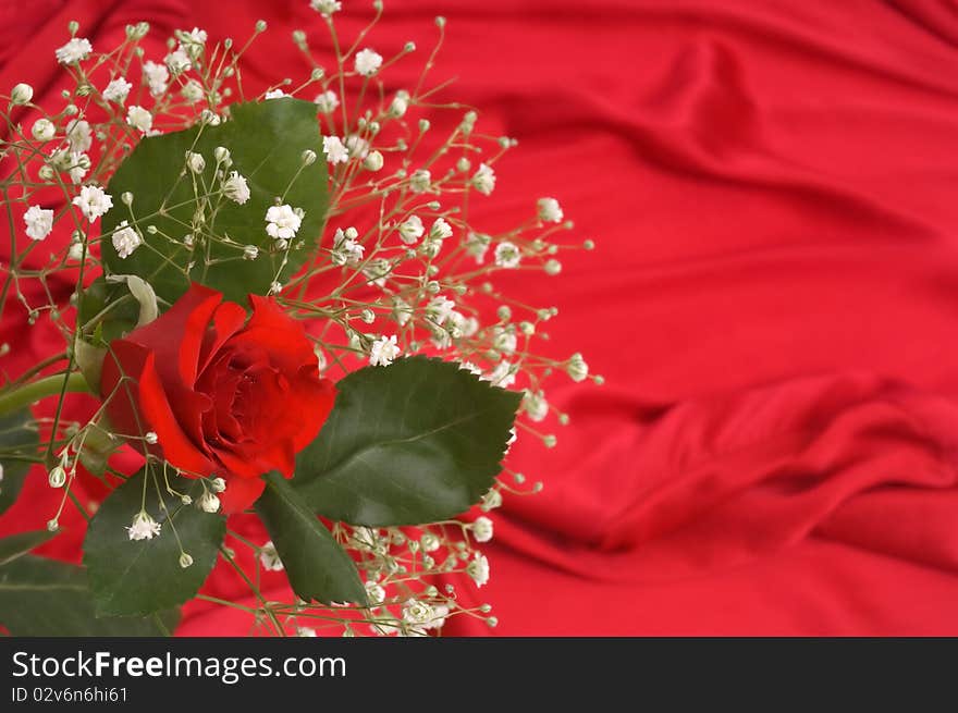 Baby s breath and rose on red satin