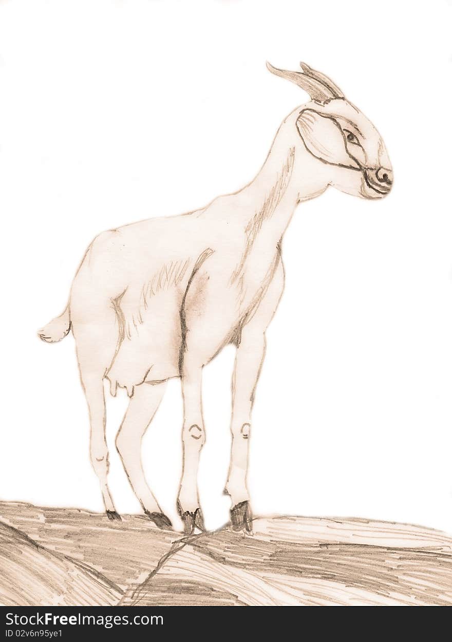 Drawing of a nanny goat