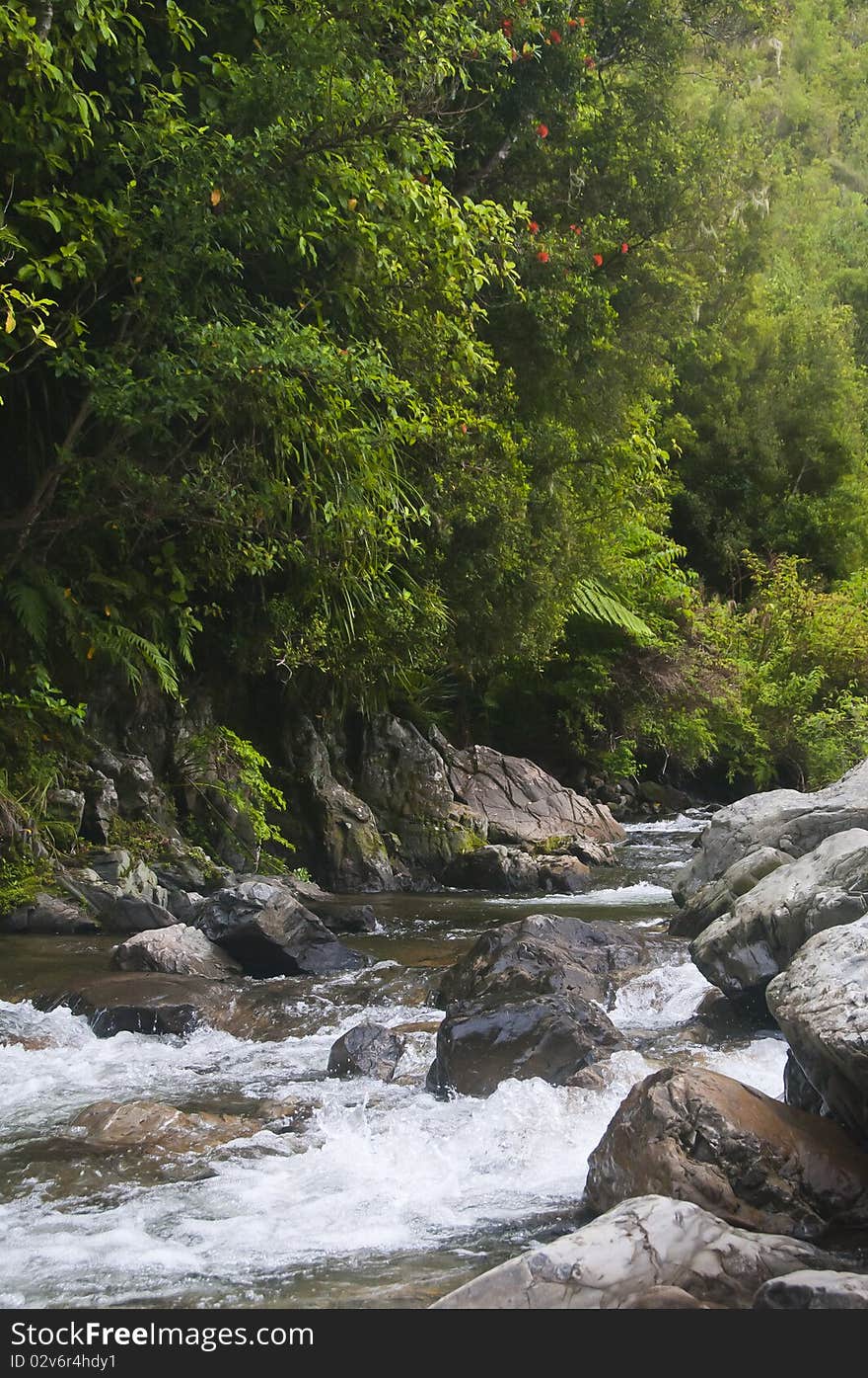 Waikawa stream