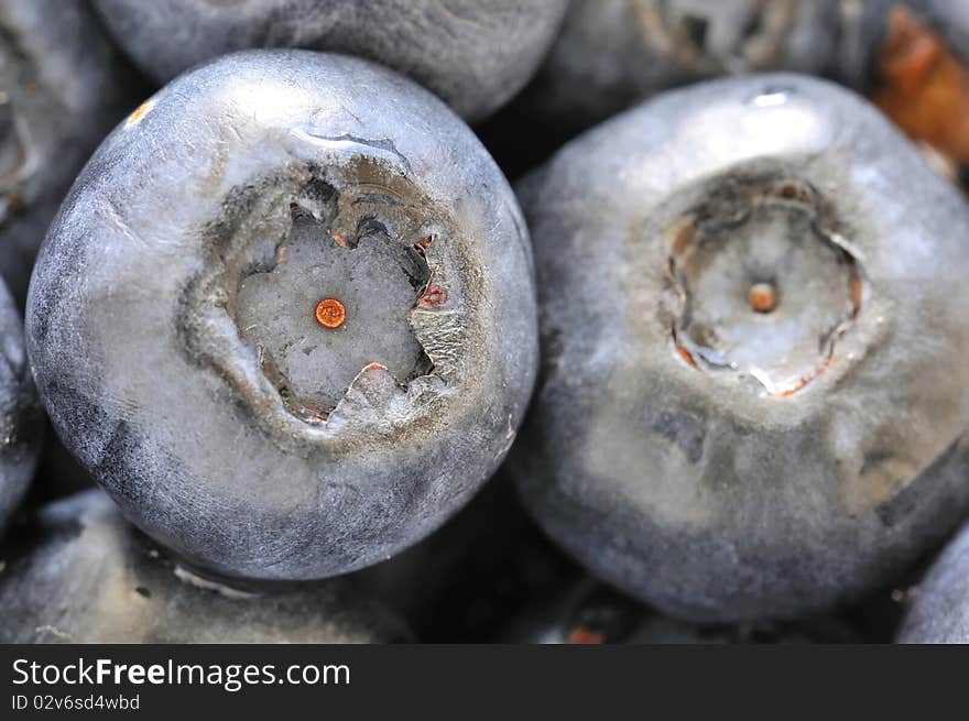 Macro shot of fresh blueberries