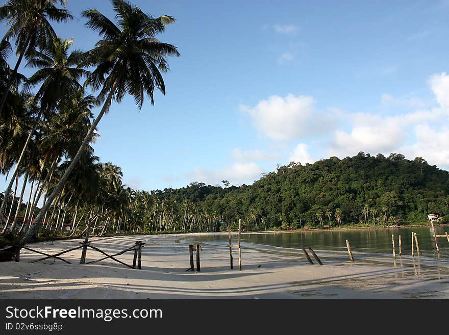 The wooden bridge when the morning time.