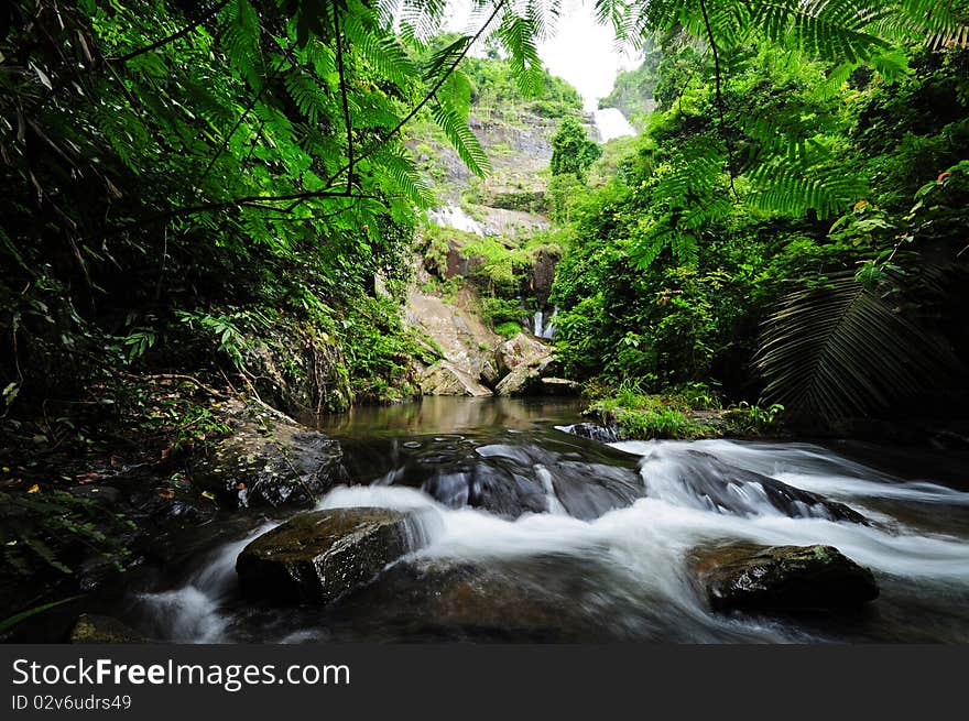 Waterfall in jungle with lush green trees around