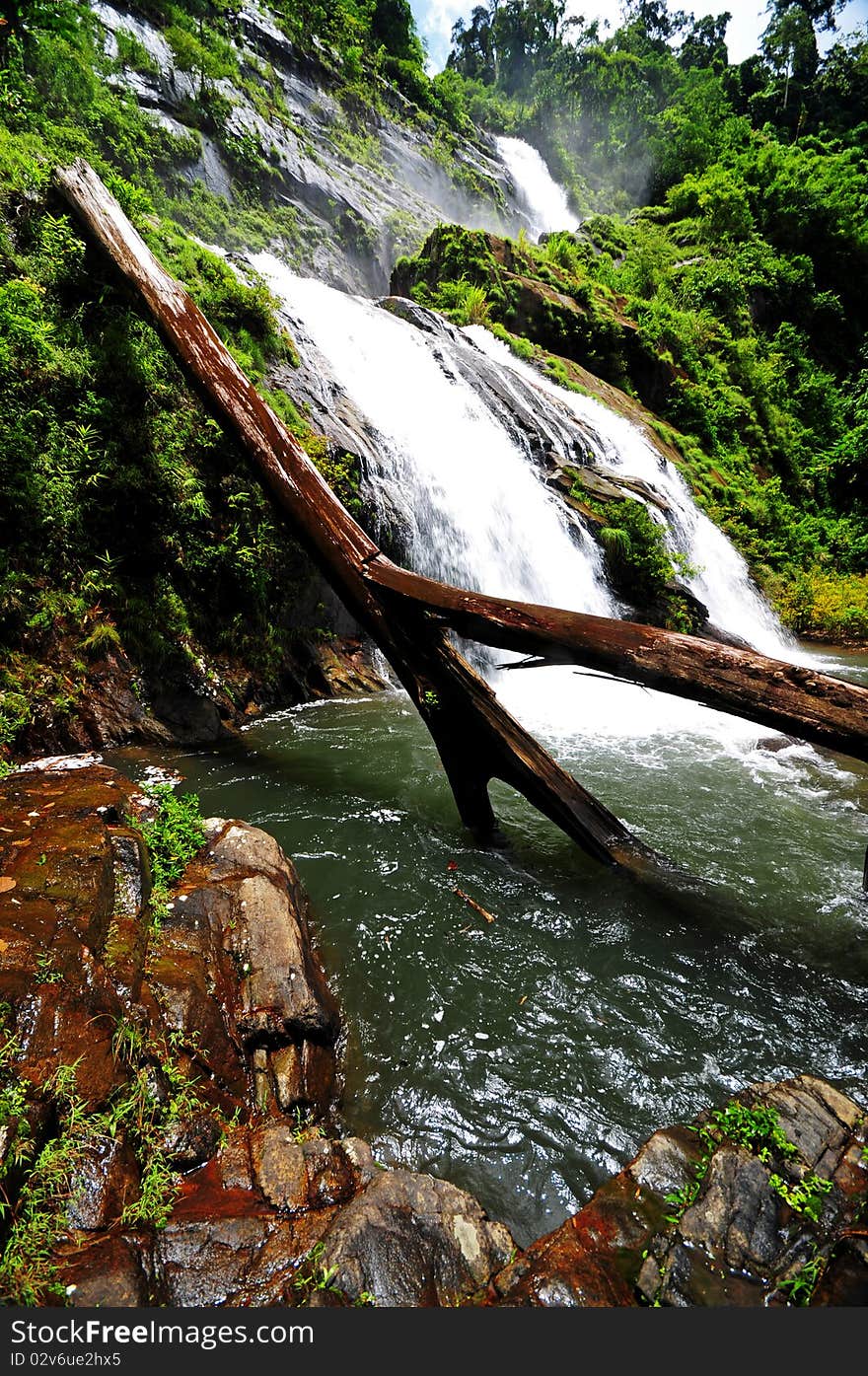 Waterfall in jungle with lush green trees around