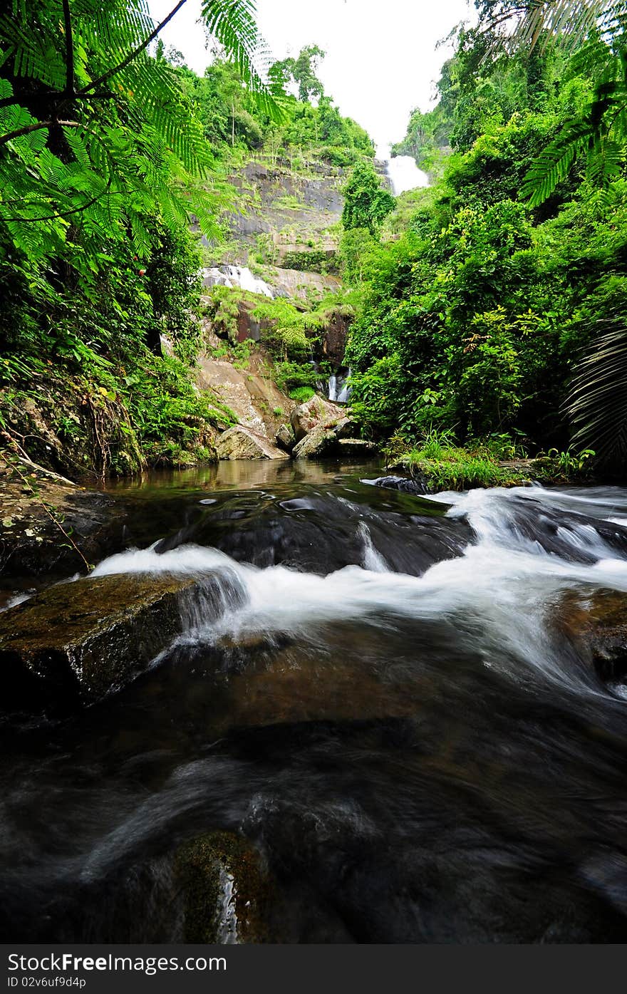 Waterfall in jungle with lush green trees around