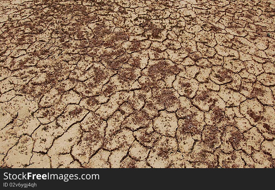 Beautiful dry ground texture in leh