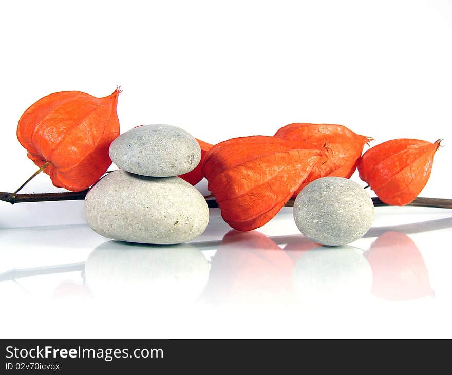 Branch of Physalis and gray Stones on white background. Branch of Physalis and gray Stones on white background