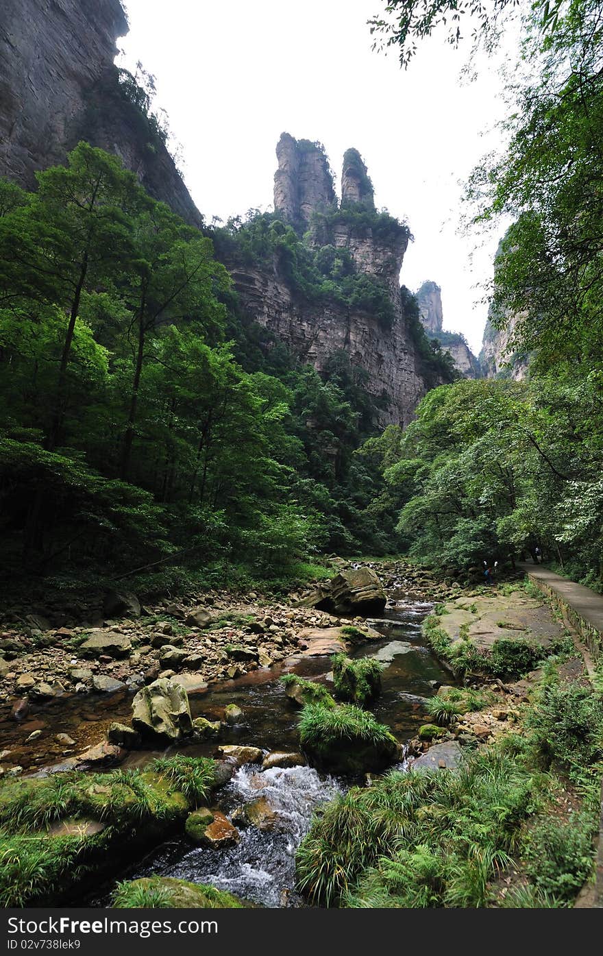 Brook And Mountains