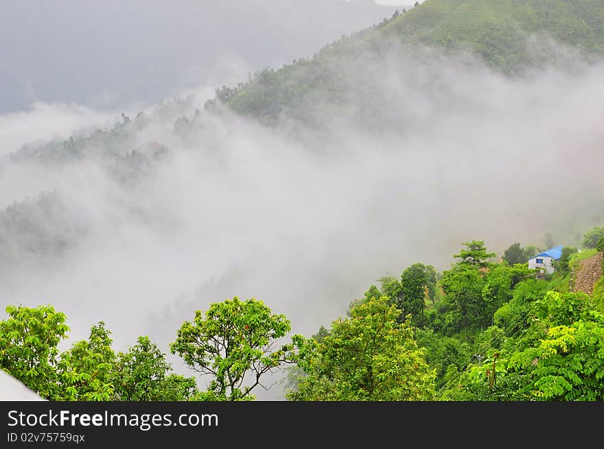 Fog and cloud valley of beautiful scenery