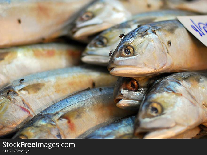 Mackerel shops in the fresh food market. Mackerel shops in the fresh food market.