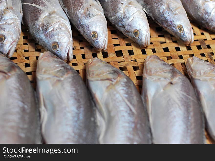 Mackerel in the market.