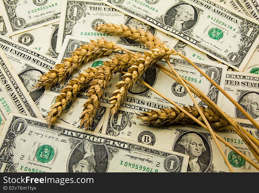 The ears of wheat lying on the American dollars. The ears of wheat lying on the American dollars