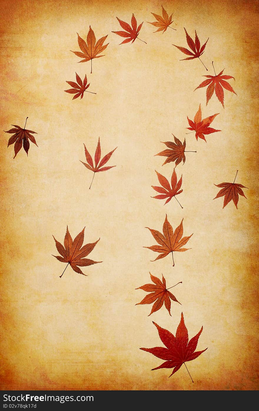 Abstract grunge autumn background with leaves