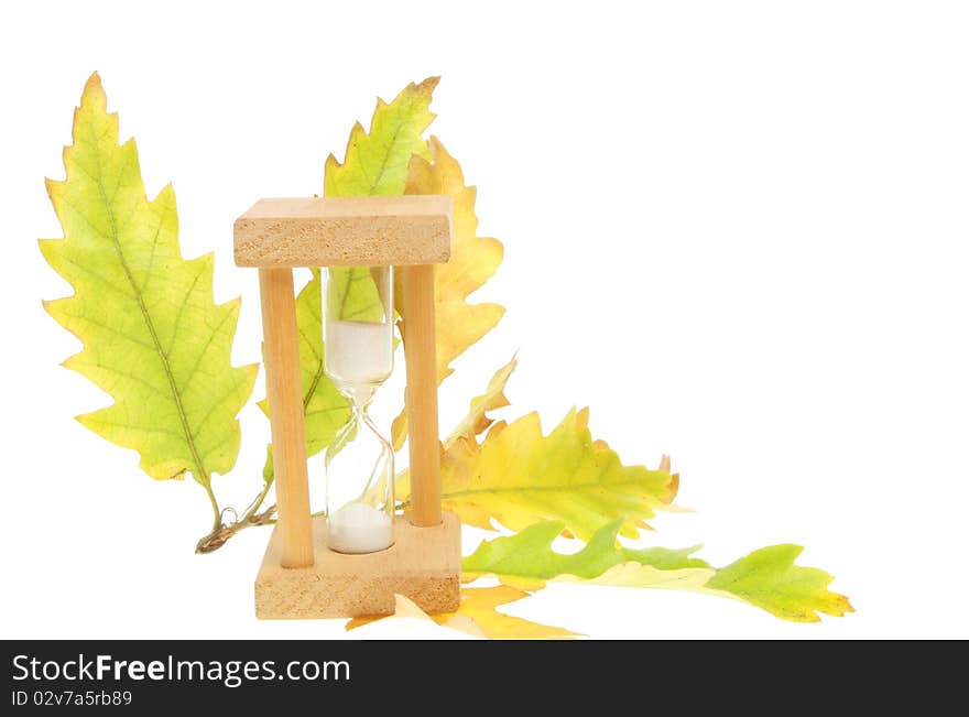 Egg timer and Autumn oak tree leaves isolated against white. Egg timer and Autumn oak tree leaves isolated against white