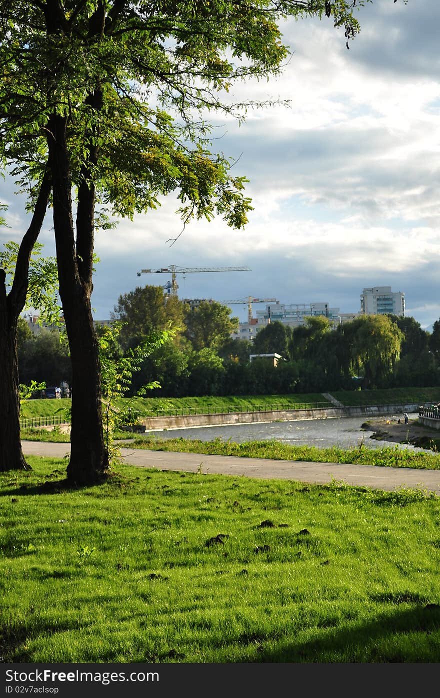 Tree Landscape