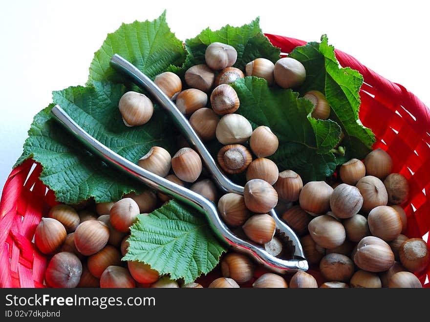 Close up of the hazelnut with pincers in basket. Close up of the hazelnut with pincers in basket