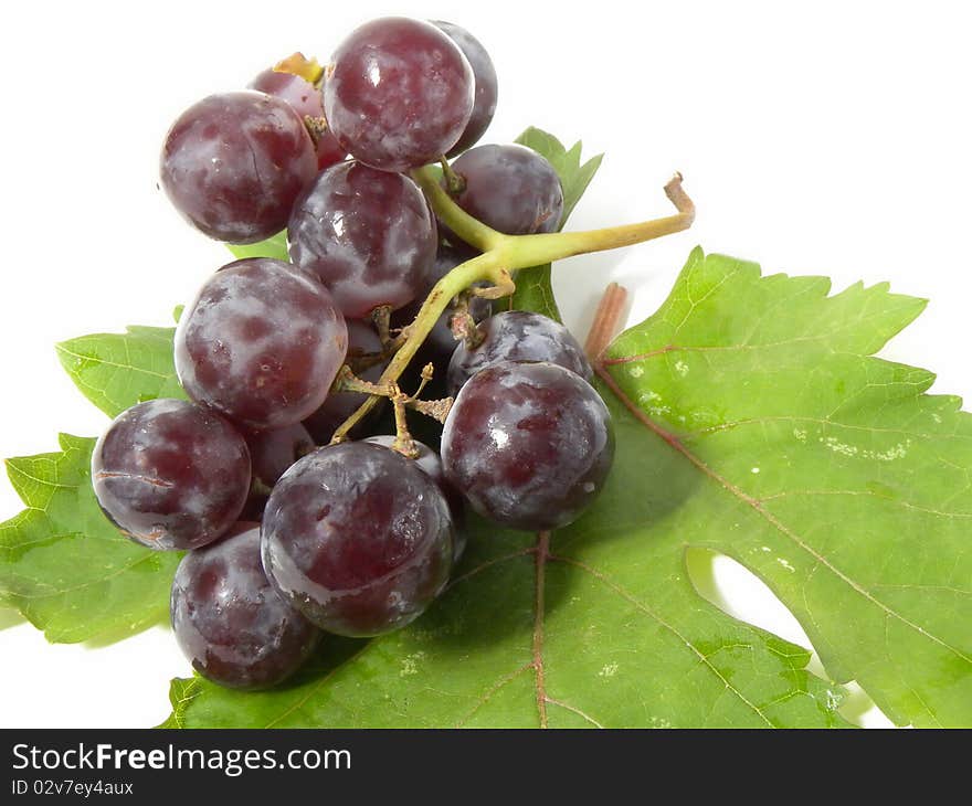 Bunch of grapes isolated on white background