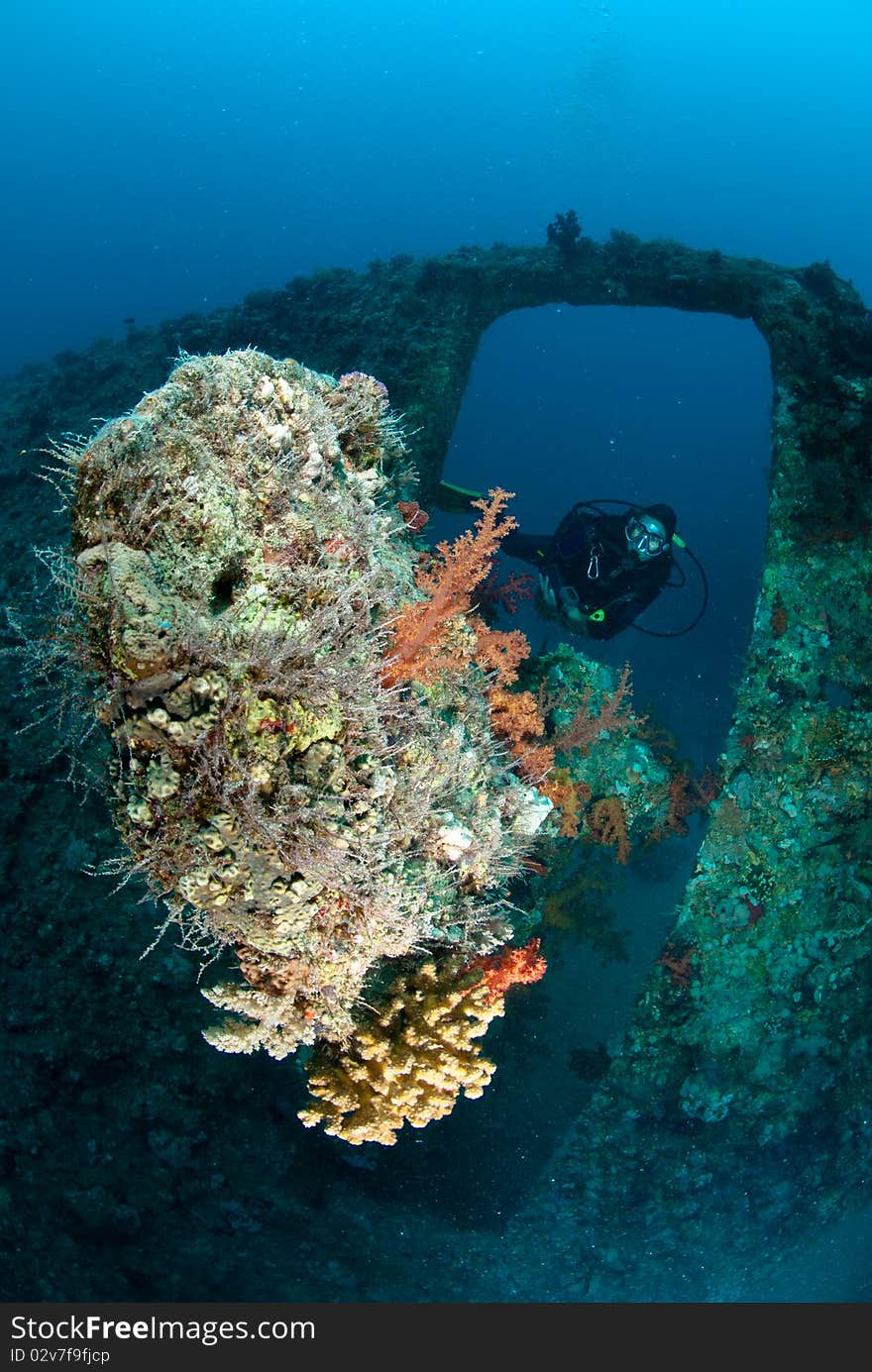 Female Scuba Diver Exploring Ship Wreck