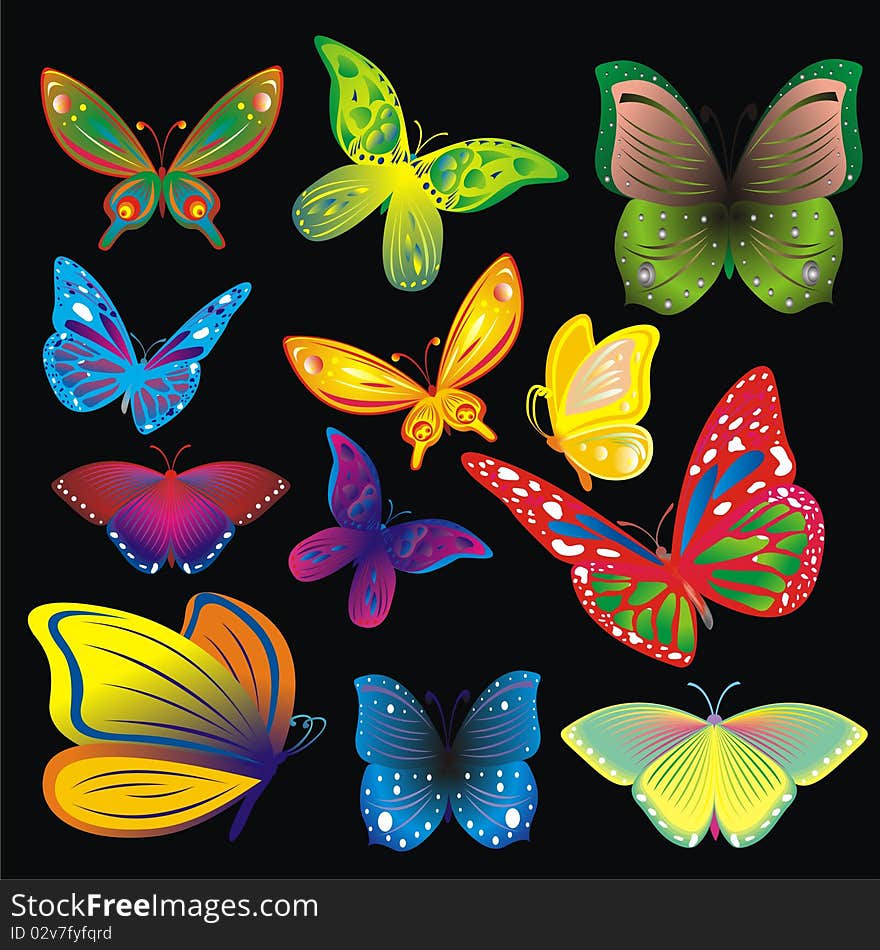 Set of butterflies