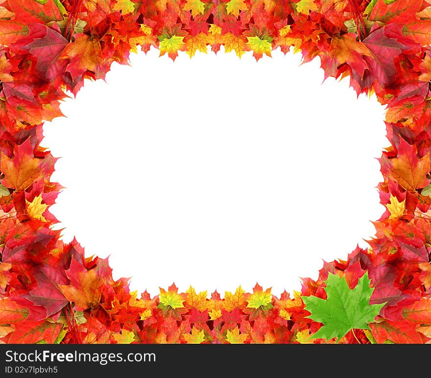 Circular frame from autumn maple foliage