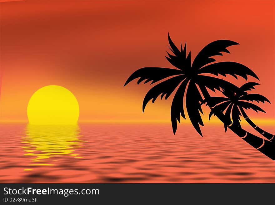 Palm tree and ocean at sunset. Palm tree and ocean at sunset