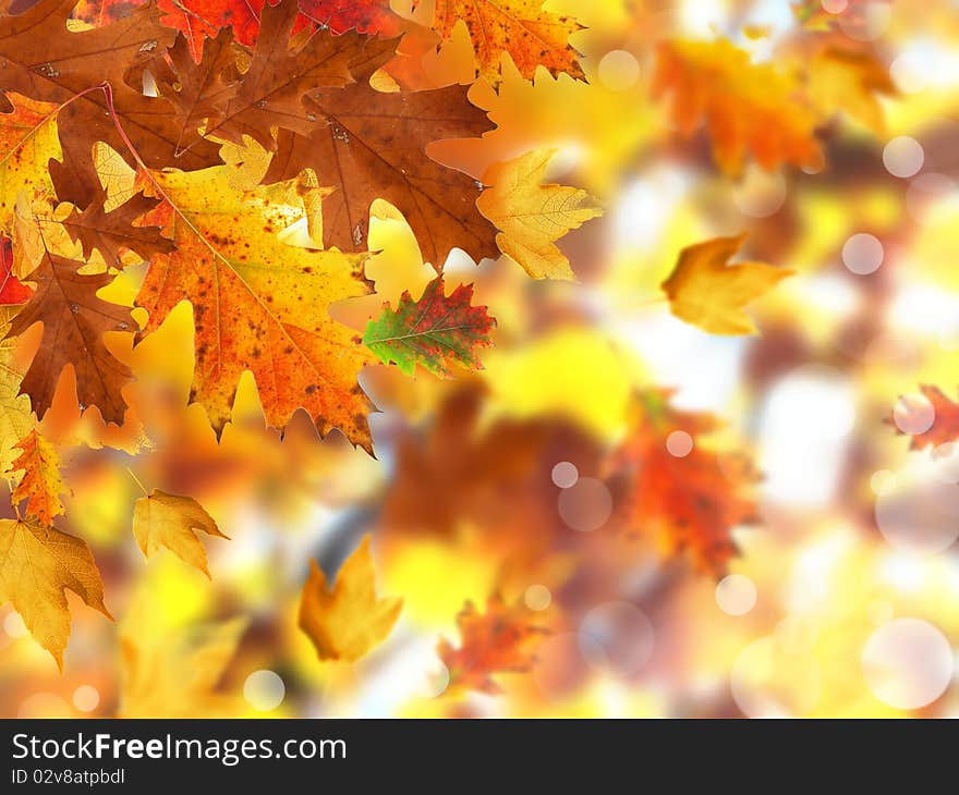 Falling leaves with blur shiny background. Falling leaves with blur shiny background