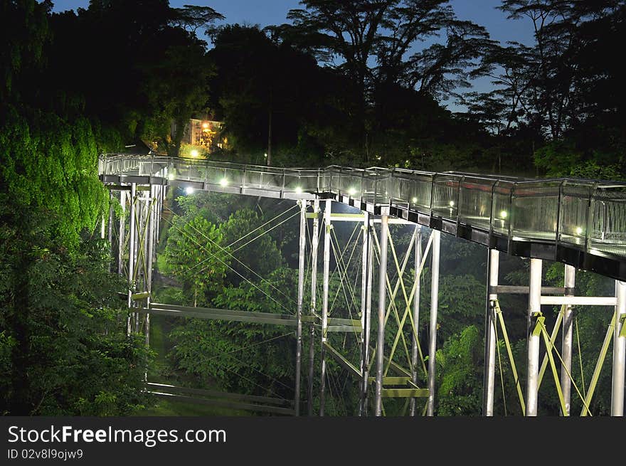 Highly elevated, lit walkway surrounded by greenery near Telok Blangah Hill Park, Singapore. Highly elevated, lit walkway surrounded by greenery near Telok Blangah Hill Park, Singapore.