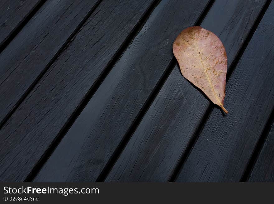 Leaf Me Alone