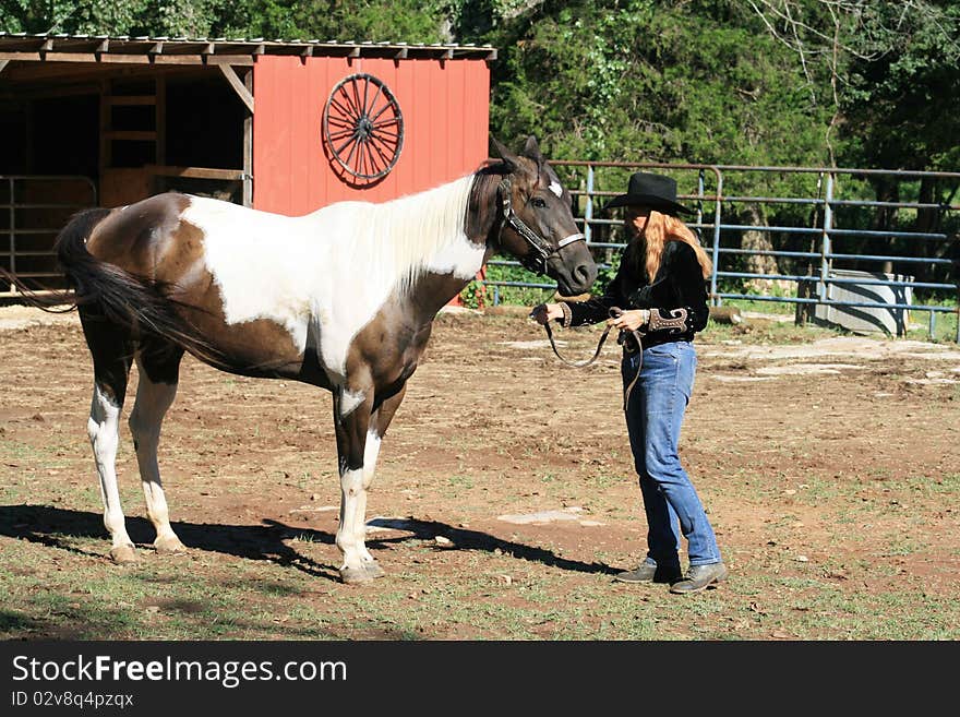 Woman in cowboy hat training horse in ranch field. Woman in cowboy hat training horse in ranch field