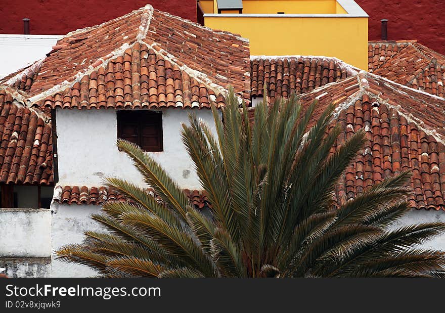 White houses with red roofs and palms