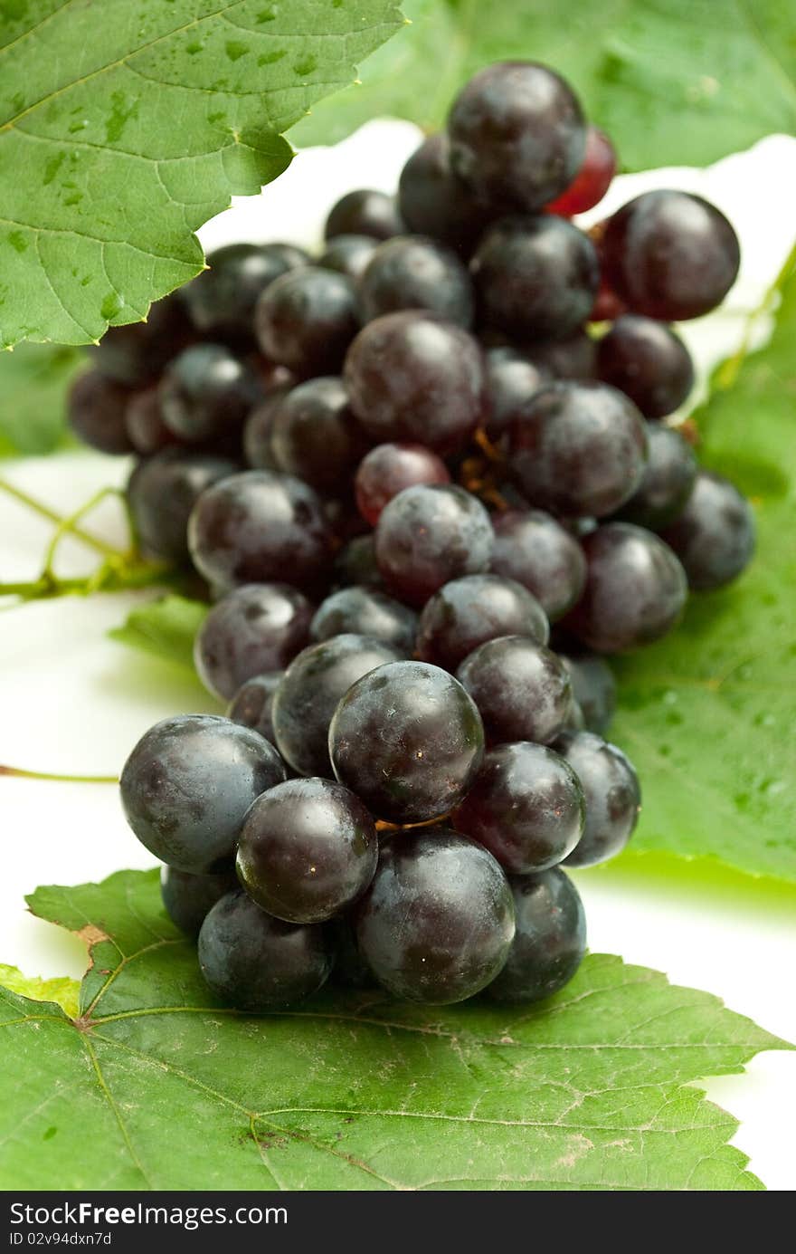 Bunch of grapes on white background