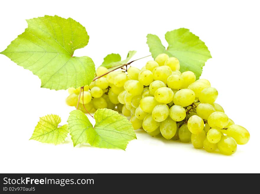 Bunch of grapes on white background