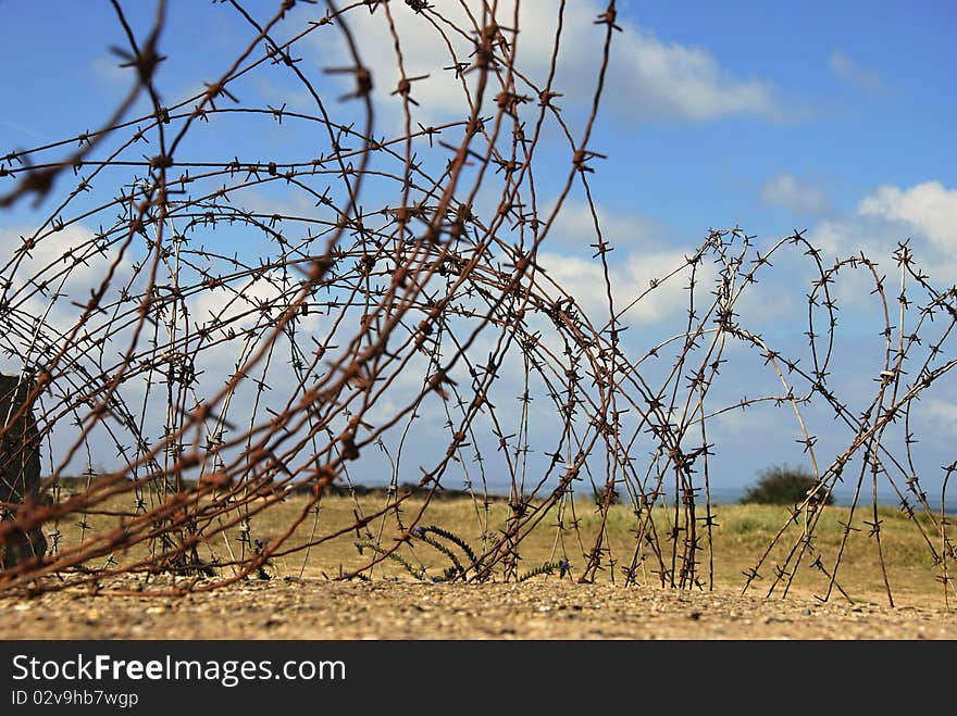 Old Barbed wire on the Point du Hoc