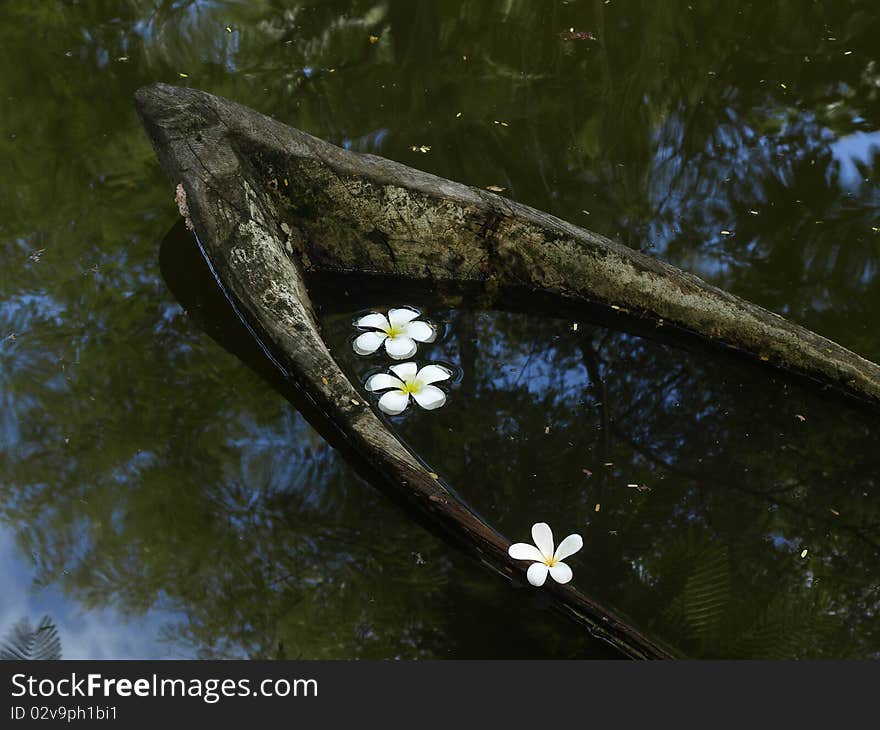 Floating flowers and boats be flush water. Floating flowers and boats be flush water