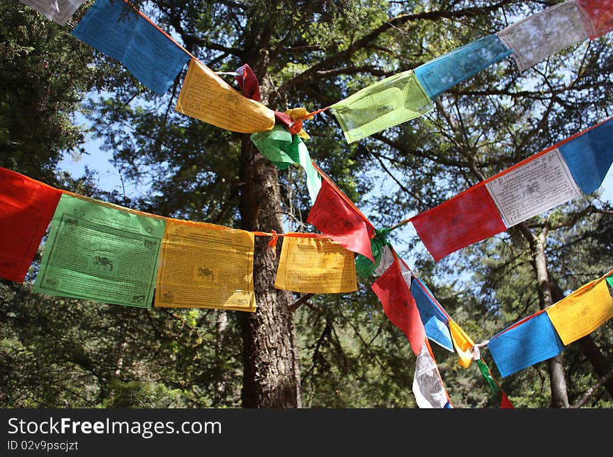 Three lines of colourful flags with sacred inscriptions and characters intersect, with tree foliage as a background. Three lines of colourful flags with sacred inscriptions and characters intersect, with tree foliage as a background.