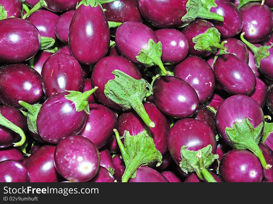 Eggplant fruit