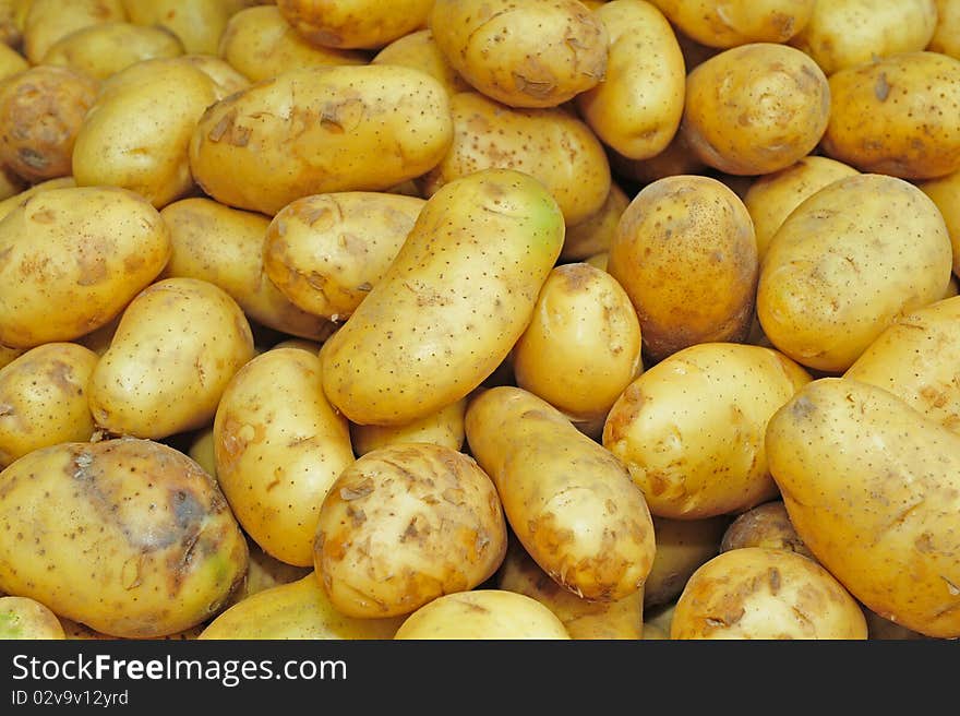 Yellow potato in the market