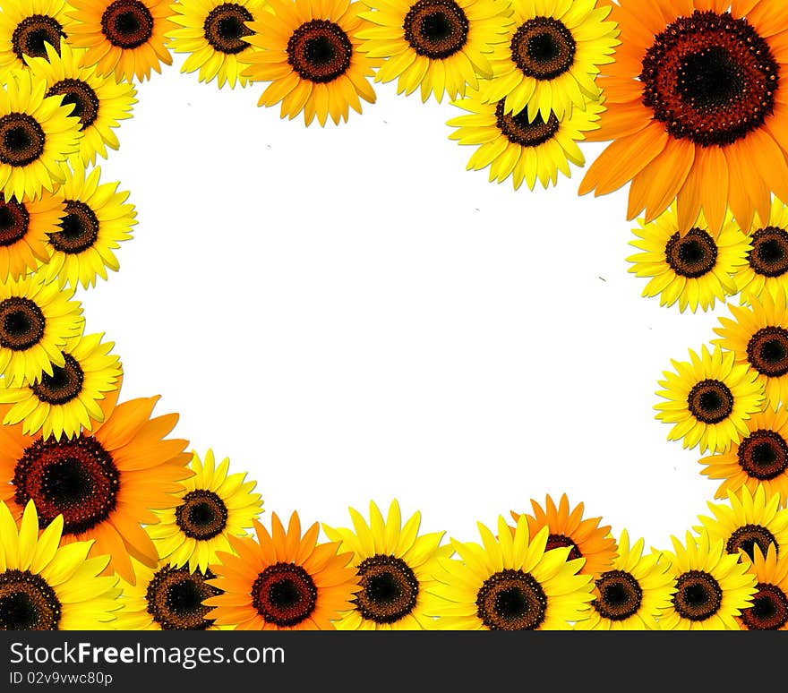 Sunflowers Frame With Place For You Text