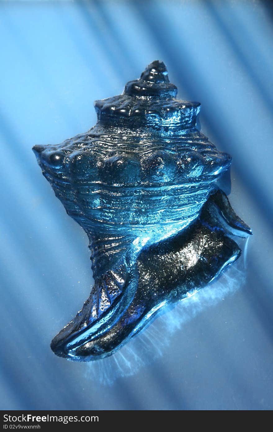 Cockleshell from a dark blue glass as an element decorative in a tile