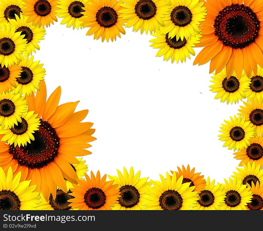 Sunflowers frame with place for you text