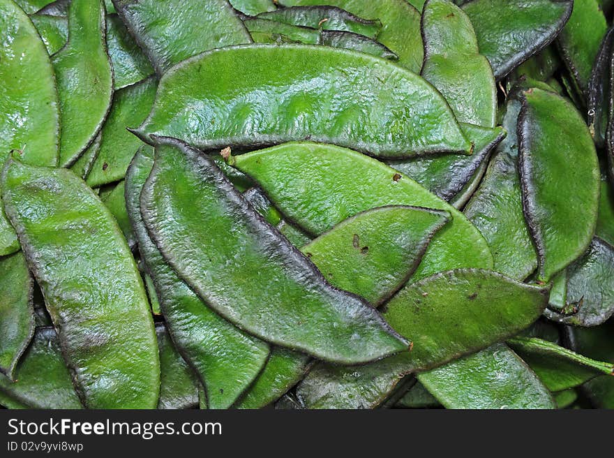 Broad Bean