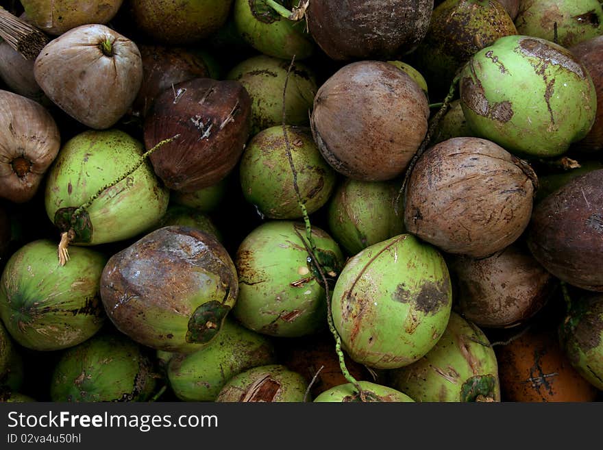 Coconut Pile