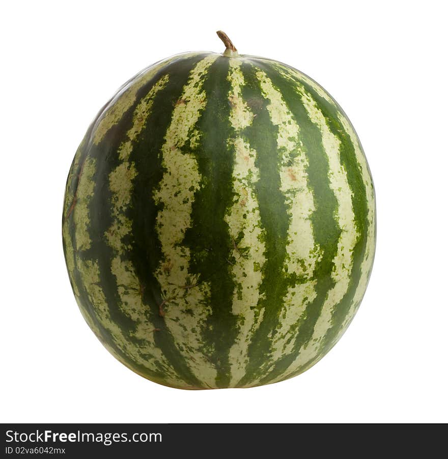 Watermelon isolated