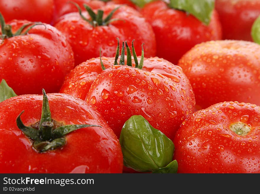 Tomatoes