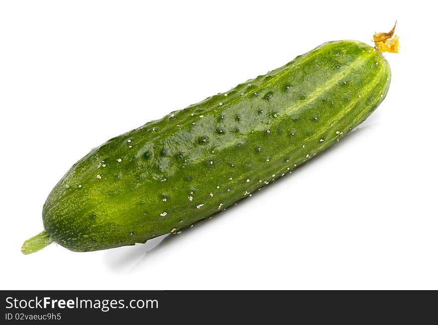 Green cucumber