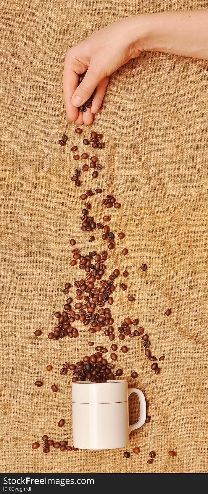 Coffee beans falling in mug from a female hand. Coffee beans falling in mug from a female hand.