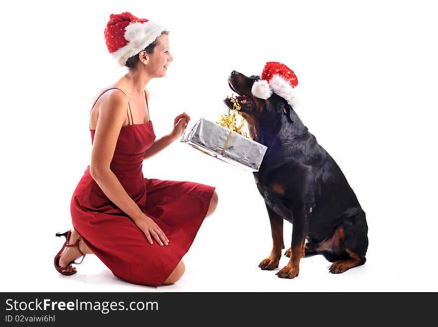 Purebred rottweiler sitting with gift and woman in a red dress. Purebred rottweiler sitting with gift and woman in a red dress